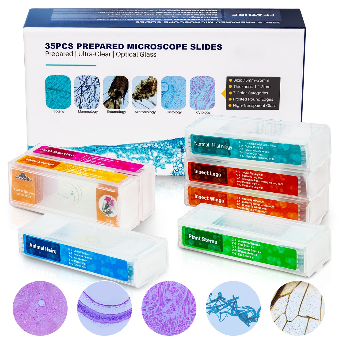 35 PCS Microscope Prepared Slides for Kids, Lab-Grade Safe Glass Plant Insect Animal Samples, Homeschool & Back to School Science Gift