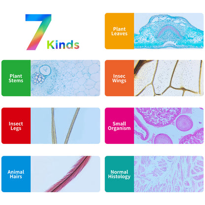 35 PCS Microscope Prepared Slides for Kids, Lab-Grade Safe Glass Plant Insect Animal Samples, Homeschool & Back to School Science Gift