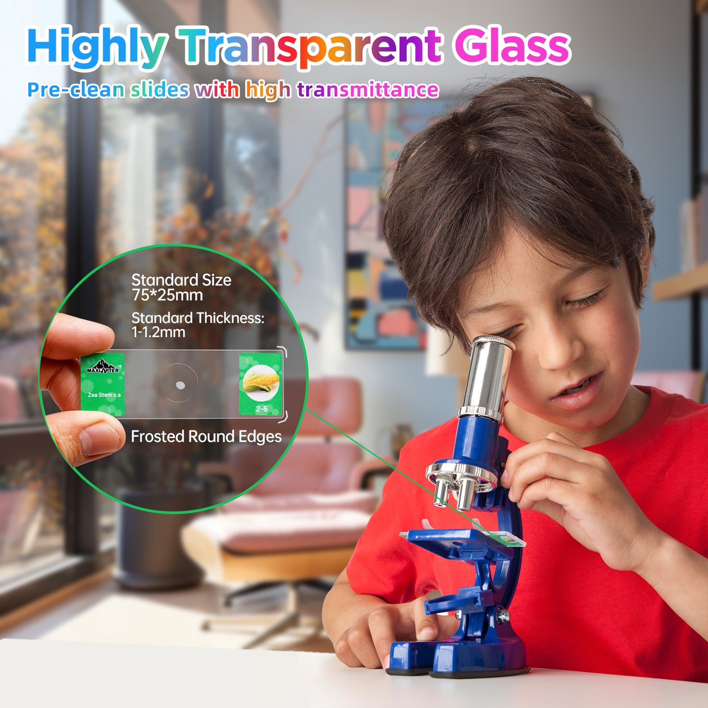 35 PCS Microscope Prepared Slides for Kids, Lab-Grade Safe Glass Plant Insect Animal Samples, Homeschool & Back to School Science Gift