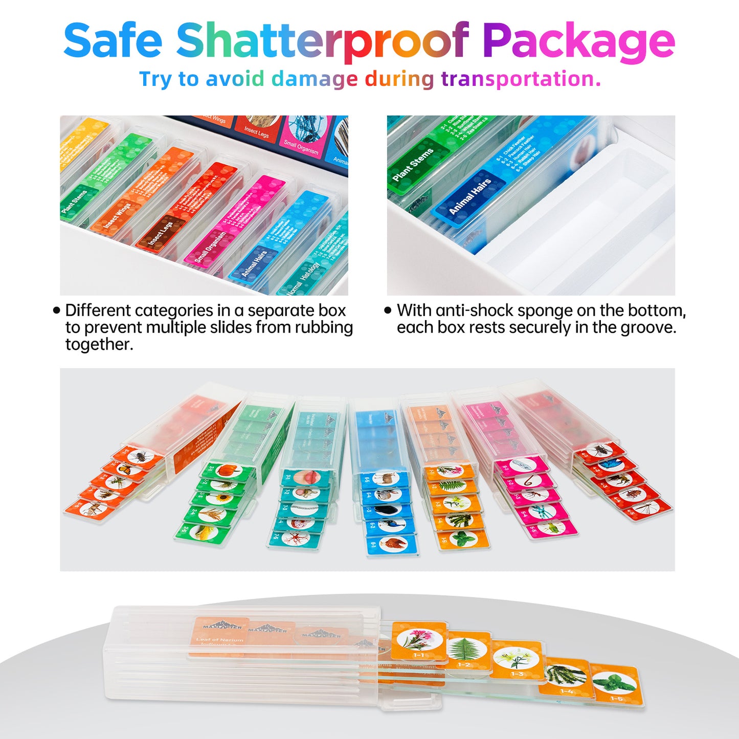 35 PCS Microscope Prepared Slides for Kids, Lab-Grade Safe Glass Plant Insect Animal Samples, Homeschool & Back to School Science Gift