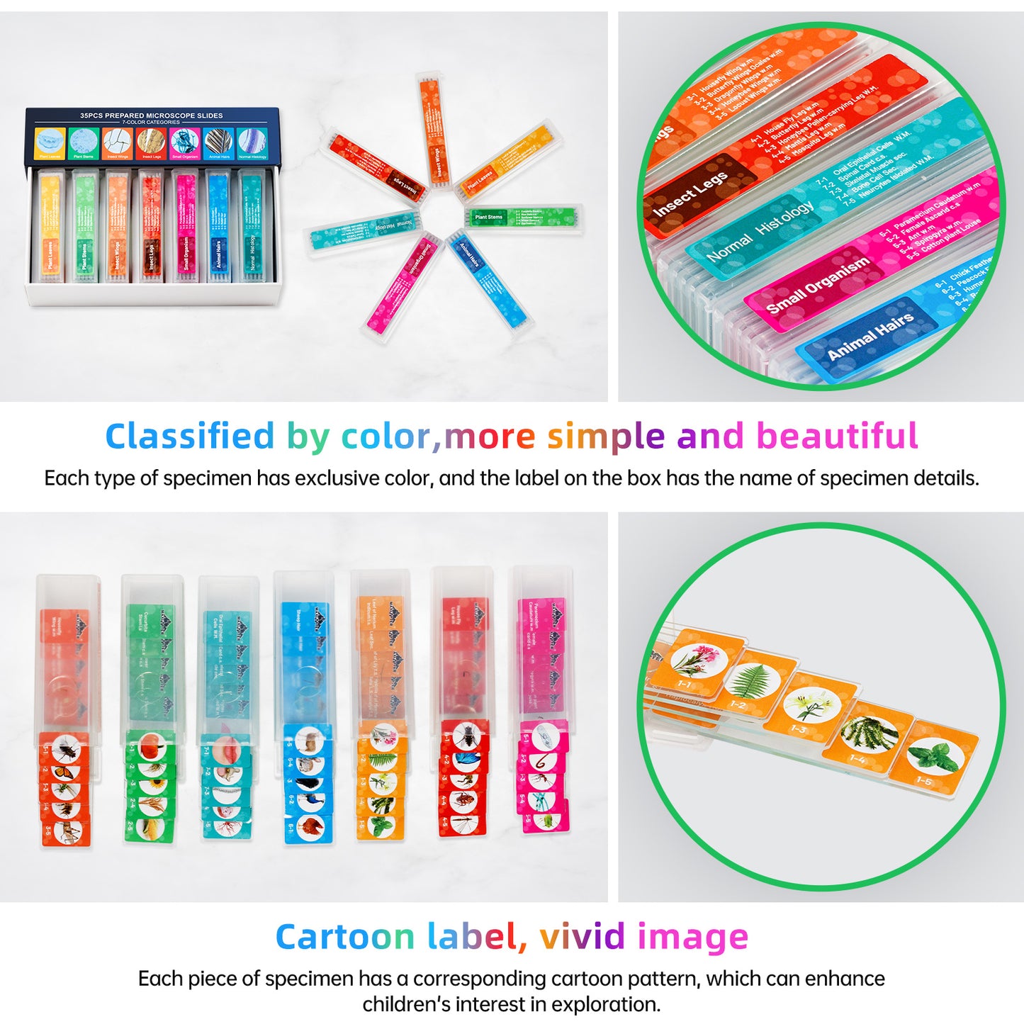 35 PCS Microscope Prepared Slides for Kids, Lab-Grade Safe Glass Plant Insect Animal Samples, Homeschool & Back to School Science Gift