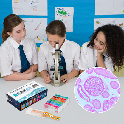 35 PCS Microscope Prepared Slides for Kids, Lab-Grade Safe Glass Plant Insect Animal Samples, Homeschool & Back to School Science Gift